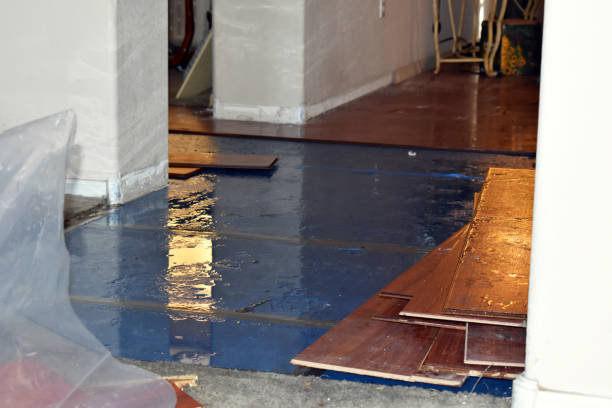 Professional Flood Cleanup technician working in Coral, MI